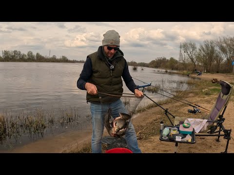Видео: Фидерная рыбалка в Польше недалеко от Варшавы! Хороший улов крупной плотвы и леща на реке Нарев!