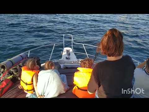 Видео: По Байкалу на катере, 2024 г.