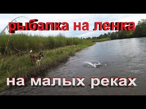 Видео: Воблеры на ленка. рыбалка на ленка на реке оленгуй