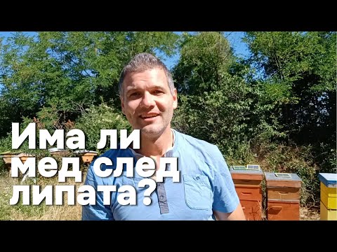 Видео: Изпълниха ли се очакванията ми за липовата паша