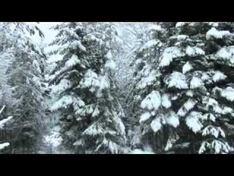 Видео: Вахтан в зимних красках.