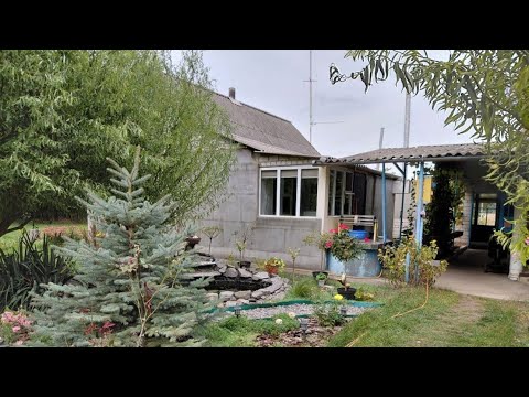 Видео: Продається усадьба в селі Золотарівка, Кіровоградська область