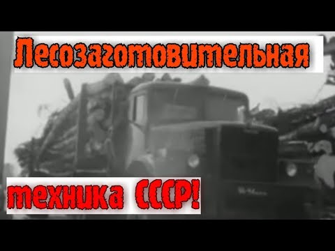 Видео: ХРОНИКА СССР!  СОВЕТСКАЯ ЛЕСОЗАГОТОВИТЕЛЬНАЯ ТЕХНИКА!