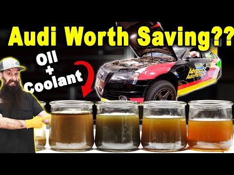 Видео: Можно ли спасти этот двигатель Audi? Охлаждающая жидкость попадает в масло.