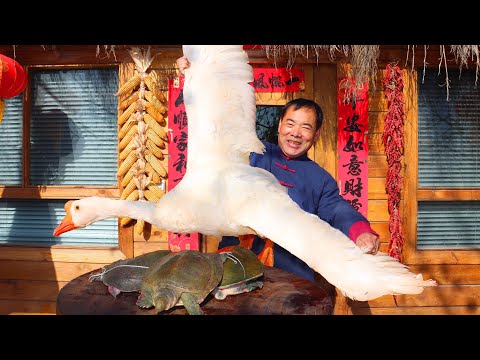 Видео: Огромный ГУСЬ, тушеный с Черепахами! Приготовлено в Большой Кастрюле, Великолепный Вкус!