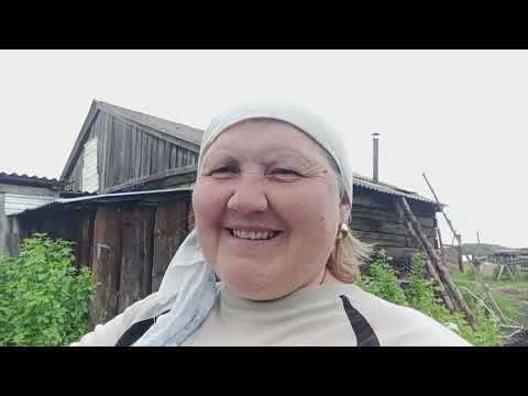 Видео: 18 июня 2024 Моя огородная жизнь в селе