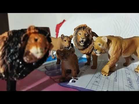 Видео: обзор на Мой прайд