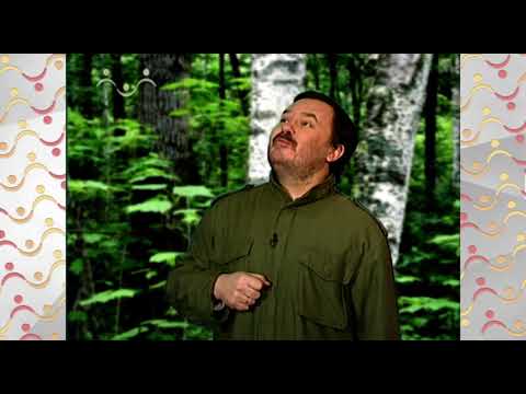 Видео: Шишкин Лес. Дарья.  Зоология.  Кто в домике живёт