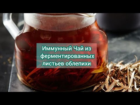 Видео: Иммунный Чай из ферментированного листа облепихи ☕.