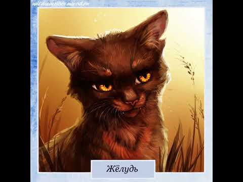 Видео: КВ И ОТСУТСТВИЕ ИНДИВИДУАЛЬНОСТИ