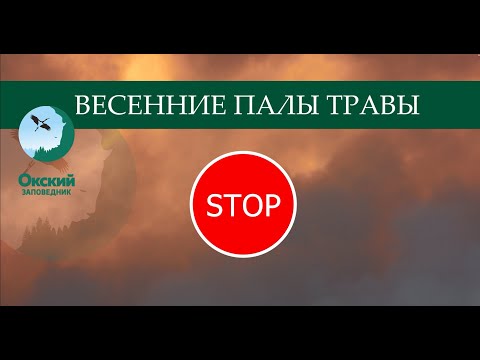 Видео: Весенние палы травы