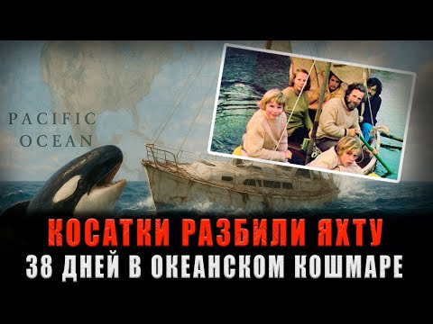 Видео: КОСАТКИ УНИЧТОЖИЛИ ИХ ЯХТУ: 38 ДНЕЙ НЕВЫНОСИМОГО КОШМАРА ДЛЯ СЕМЬИ В ОКЕАНЕ