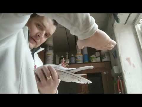 Видео: Как определить пол у взрослых голубей #Pigeon #Голуби