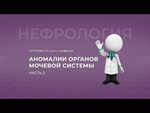Видео: 12.09.2021 15:00 Аномалии органов мочевой системы. Часть 2
