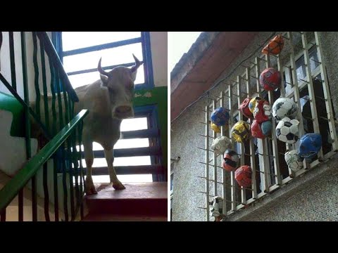 Видео: Когда реально не повезло с соседями