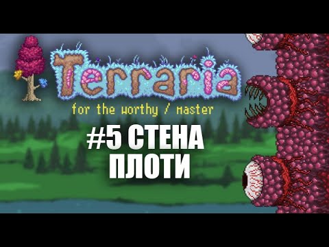 Видео: СТЕНА ПЛОТИ | КООП | FOR THE WORTHY | MASTER | TERRARIA