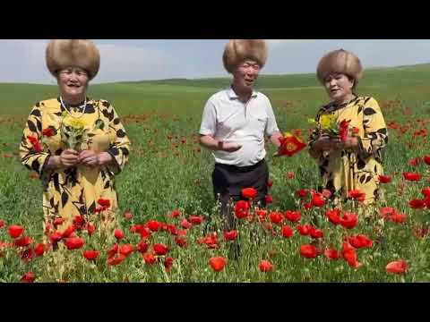 Видео: 12 мая 2025 г. Исмаилова Гулайым, Абилов Хамит, Бектемирова Гульнара