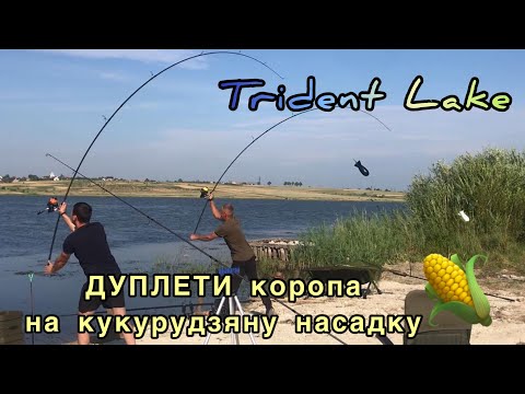 Видео: TRIDENT LAKE | ДУПЛЕТИ коропа на кукурудзяну насадку