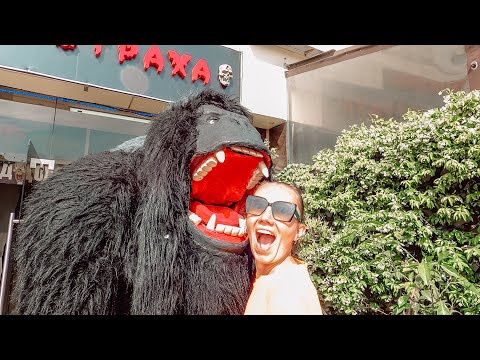 Видео: Доехали до пункта назначения / Мечта сбылась, я в Сочи