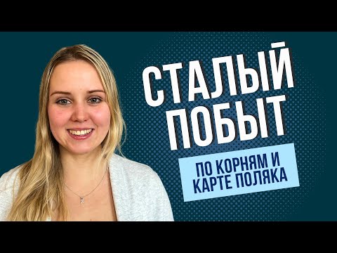 Видео: Сталый побыт по корням или по карте поляка. Как подавать документы, чтобы  получить карту быстрее