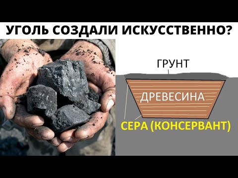Видео: Откуда каменный уголь на самом деле ?