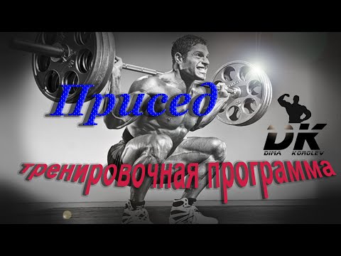 Видео: Приседания со штангой. Тренировочная программа