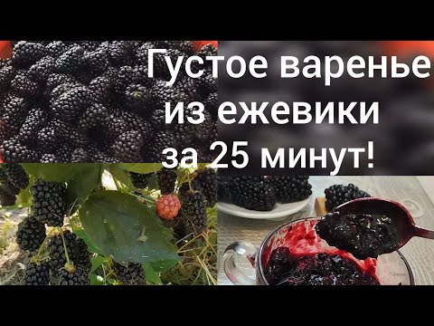 Видео: Живем в Адыгее/Варим густое варенье из ежевики за 25 минут/20 июня/