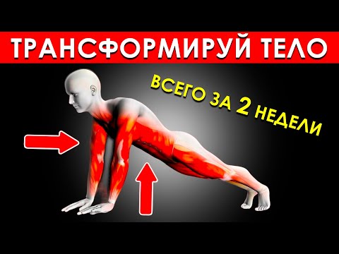 Видео: 4 Простых Упражнения БЕЗ ОБОРУДОВАНИЯ, Которые Быстро Трансформируют Ваше Тело