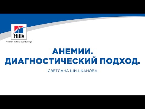 Видео: Вебинар на тему: “Анемии. Диагностический подход.” Лектор - Светлана Шишканова.