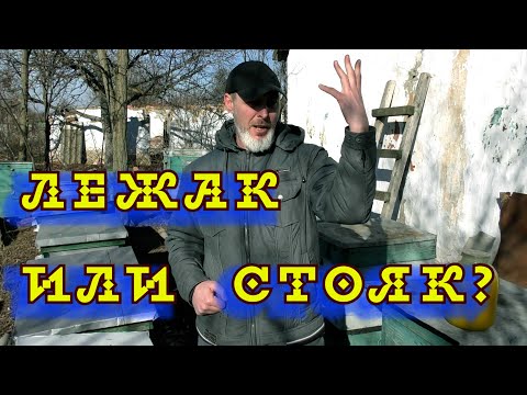Видео: ЛЕЖАК ИЛИ СТОЯК?