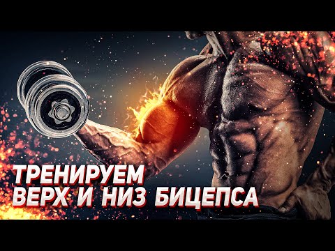 Видео: Гипертрофия разных участков бицепса. Можно ли тренировать часть мышцы отдельно?