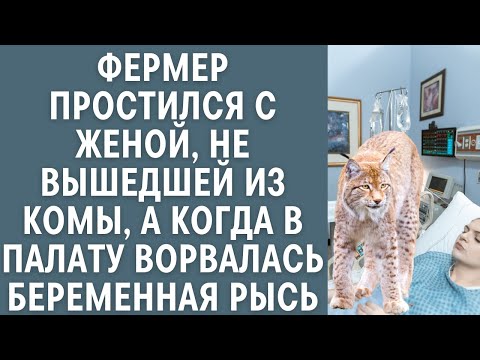 Видео: Фермер простился с женой, не вышедшей из комы, а через полчаса в палату ворвалась беременная рысь…