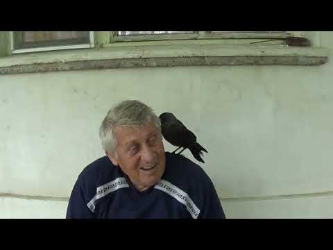 Видео: АТРАКЦИИТЕ НА ГАРВАНА ПЕЙО