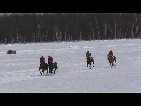 Видео: Ат сүүрдүүтэ Дэбдиргэ Таатта улууһа 2011