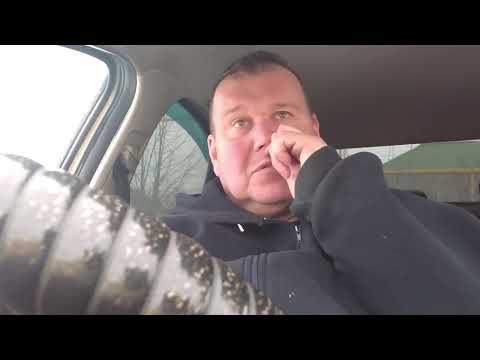 Видео: Семья или одиночество  Как быть