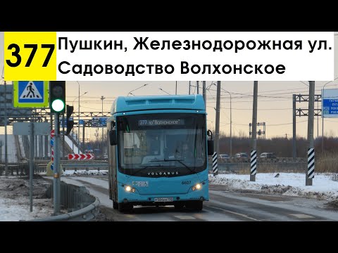 Видео: Автобус 377 "Садоводство "Волхонское" - Пушкин, Железнодорожная ул." (старая трасса)