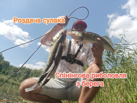 Видео: ЗНАЙШОВ КУЧУ СУДАКА. Подача приманки. Підбір силікона та ваги. Підібрати потрібну провудку джига.