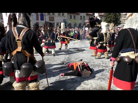 Видео: Песпонеделник в Широка лъка 2024 г.