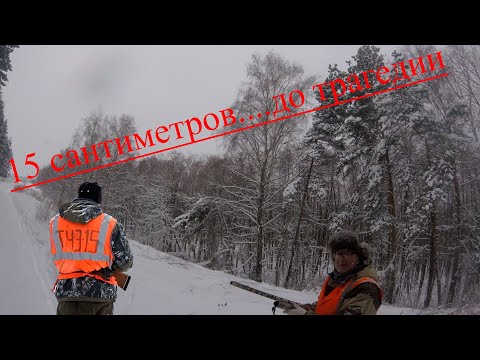 Видео: загонная охота на лося и косулю  нарушение ТБ......