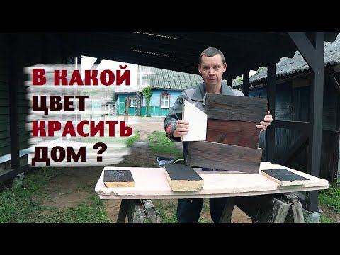 Видео: Решаем АРХИВАЖНЫЙ ВОПРОС о будущем доме на берегу!