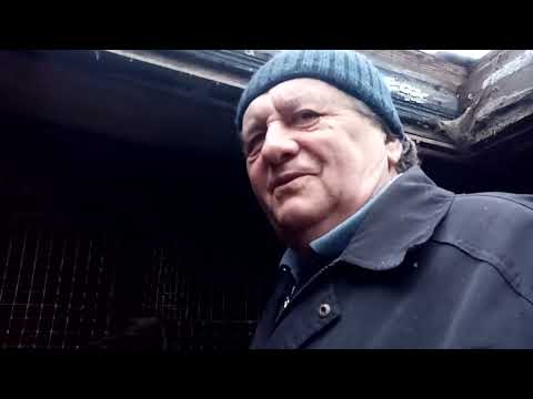 Видео: ответы на вопросы подписчиков