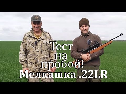 Видео: Мелкашка .22LR  - тест на пробой! Сколько пробьёт досок ???