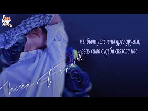 Видео: [FSG FOX] Taemin - Never Forever |рус.саб|