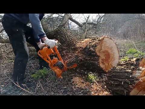 Видео: Дружба в работе