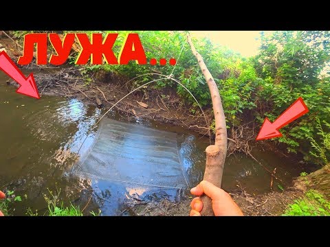 Видео: ВОДА УШЛА А РЫБА ОСТАЛАСЬ В ЛУЖЕ ! ЖЕСТЬ РЫБАЛКА !