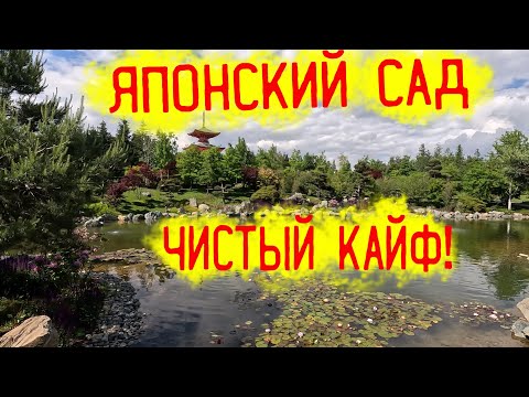 Видео: Японский сад в парке Галицкого! Чистый кайф! Посмотрите сами!