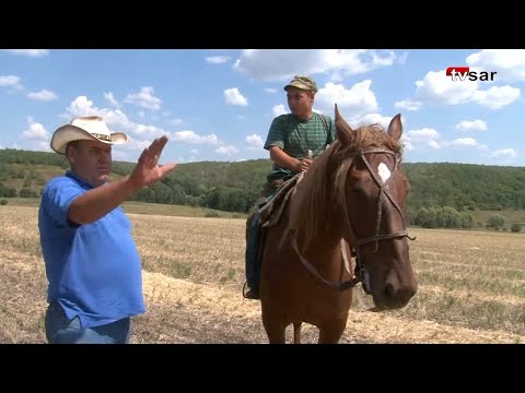 Видео: Хозяин Ягодной Поляны