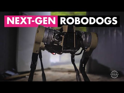 Видео: Роботы-собаки за 1000 долларов? Китайские четвероногие роботы с искусственным интеллектом вот-вот...