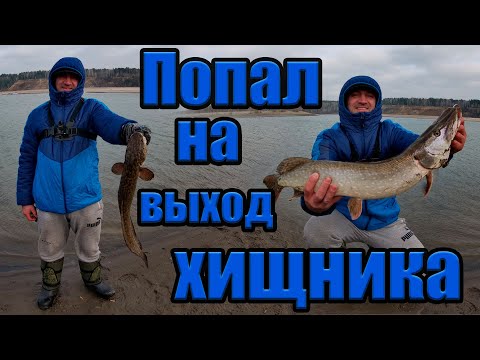 Видео: Рыбалка в Новосибирске. Попал на выход хищника!