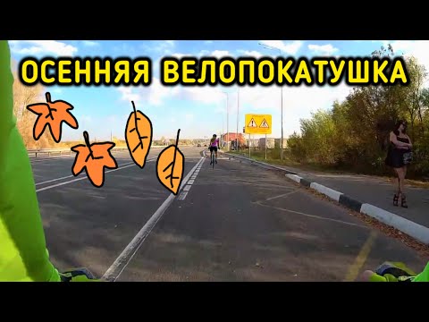 Видео: Просто осенняя ВЕЛОПОКАТУШКА / 01.10.2023